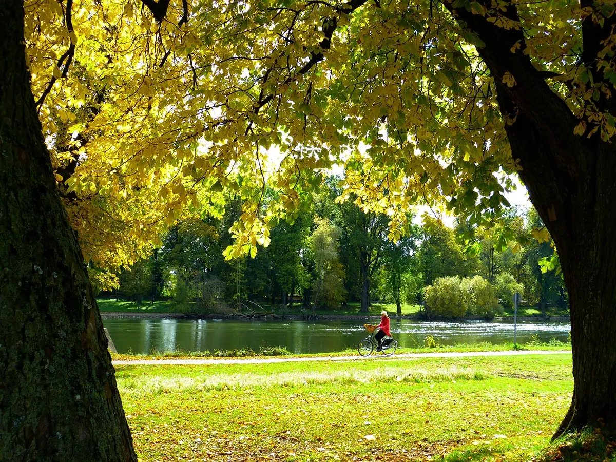 Thames Cycle Route for Beginners: Safe Bike Setup and Weekend Ride Tips